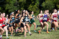 Centreville Cross Country - Battlefield
